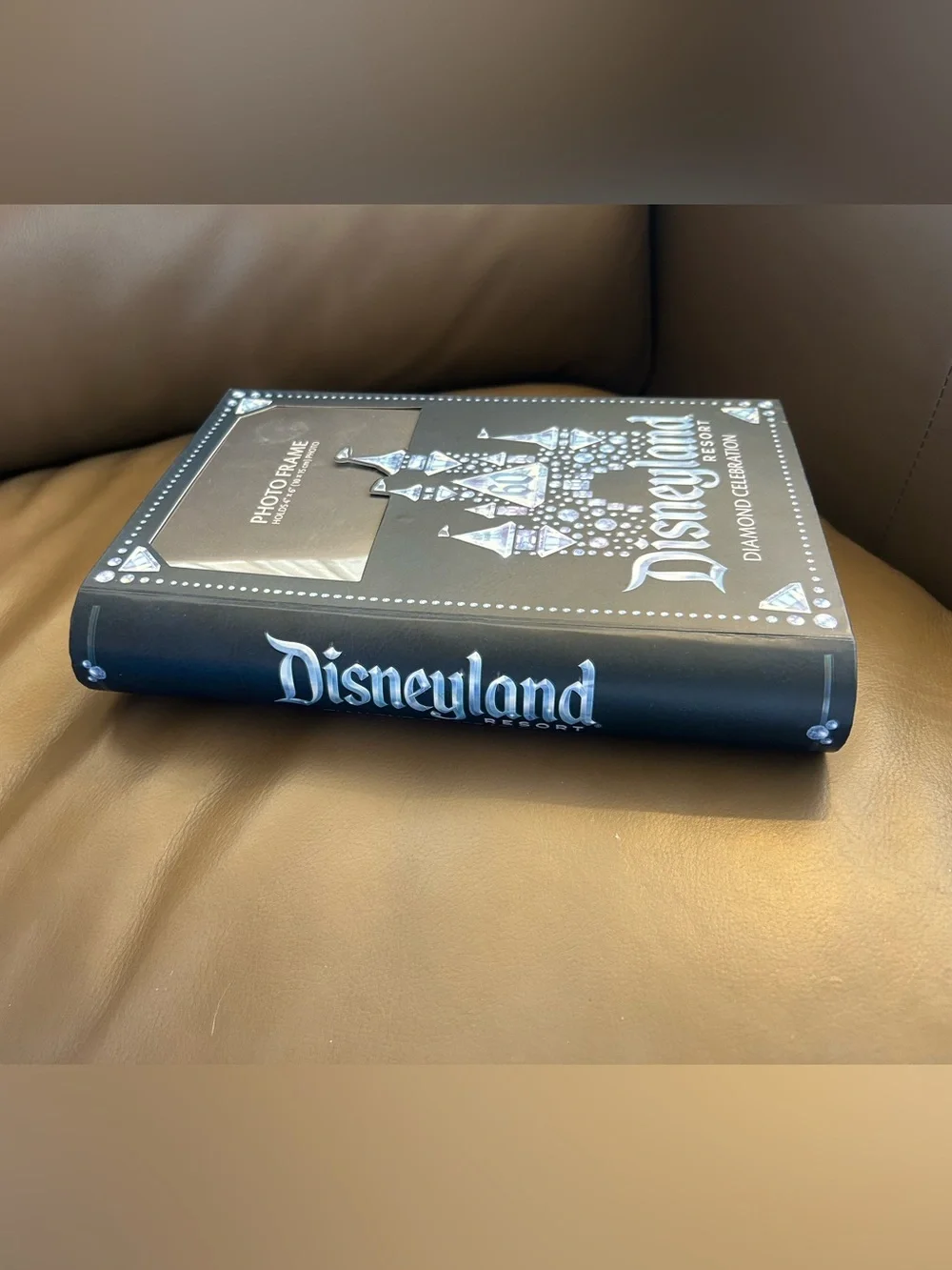 Disneyland Resort original exclusive
